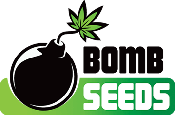 Bomb Seeds