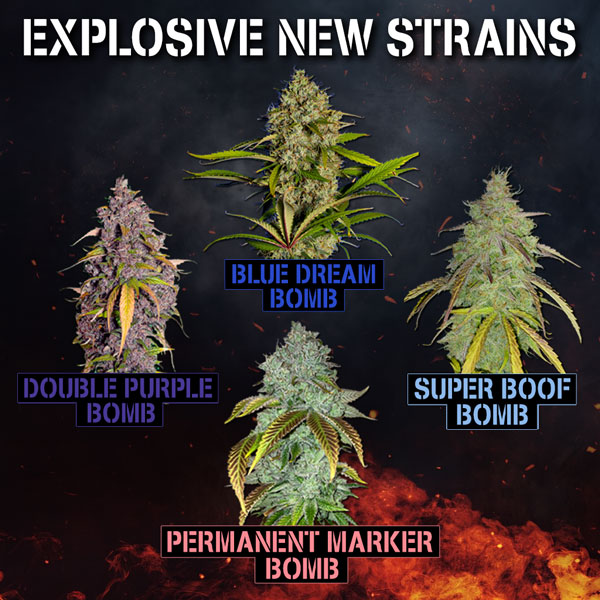 New Strains