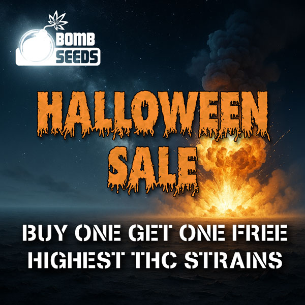 Halloween Sale