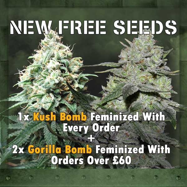 New Free Seeds